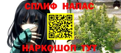 шишки Лесосибирск