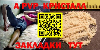 шишки Лесосибирск