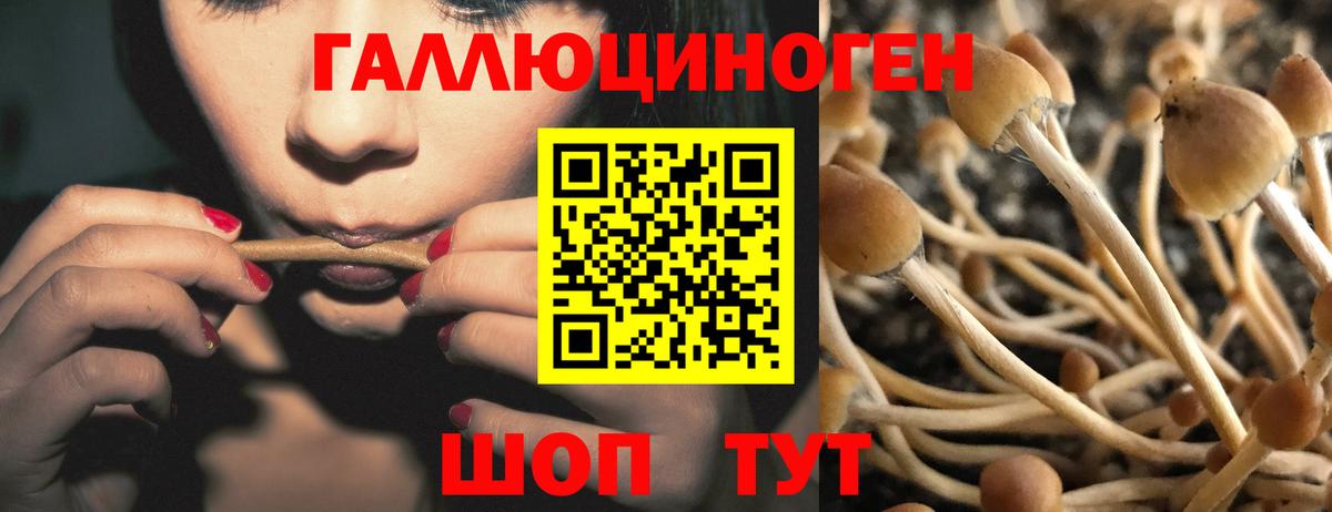 Галлюциногенные грибы мицелий Ессентуки